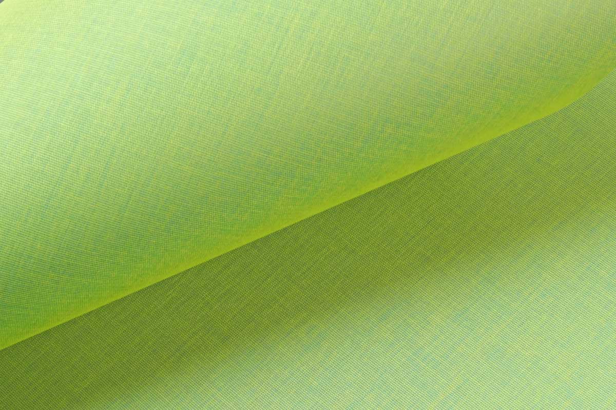 IMG_0395-bew-coloretta3606-web1200x800