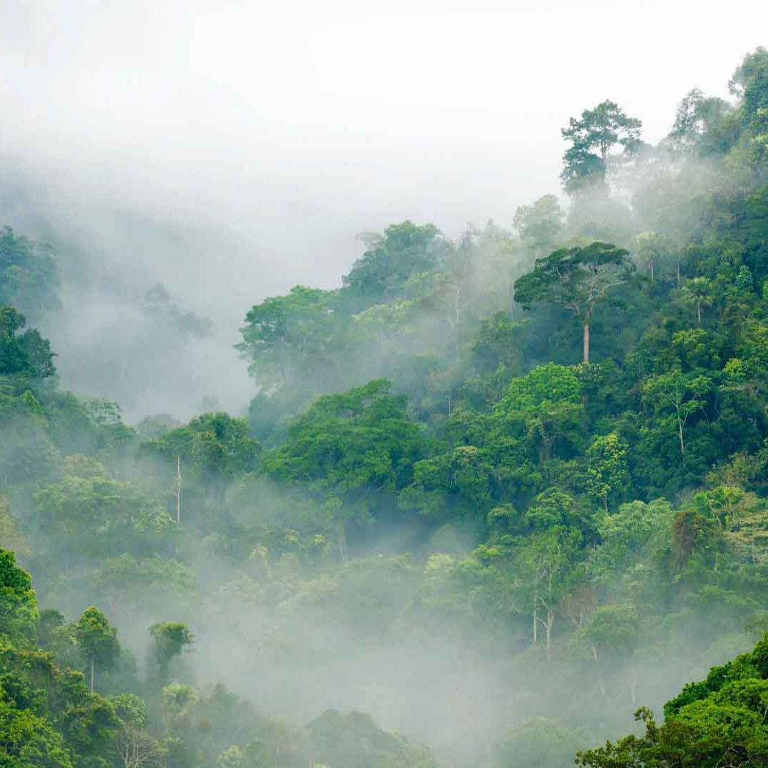 1057_ClimatePartner_08_square